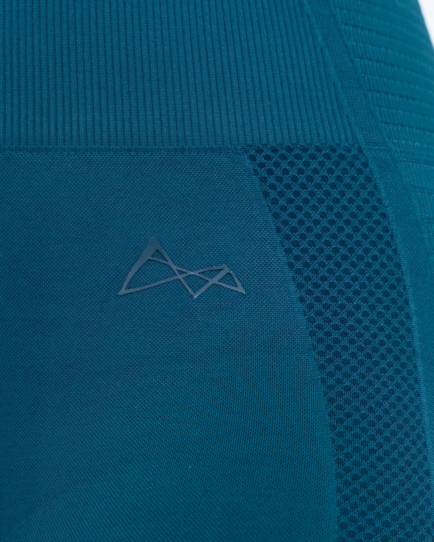 Velocity Seamless Leggings