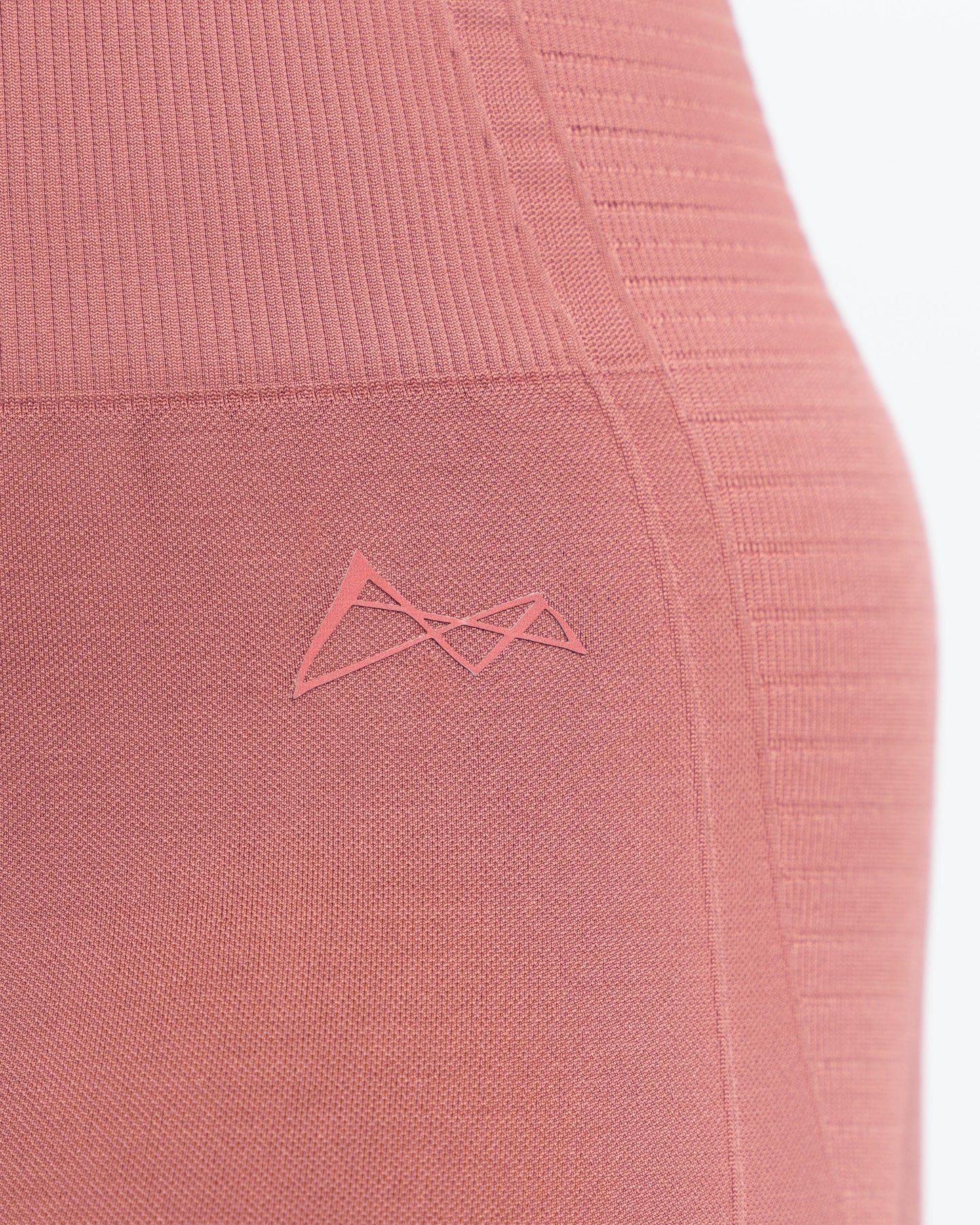 Velocity Seamless Shorts