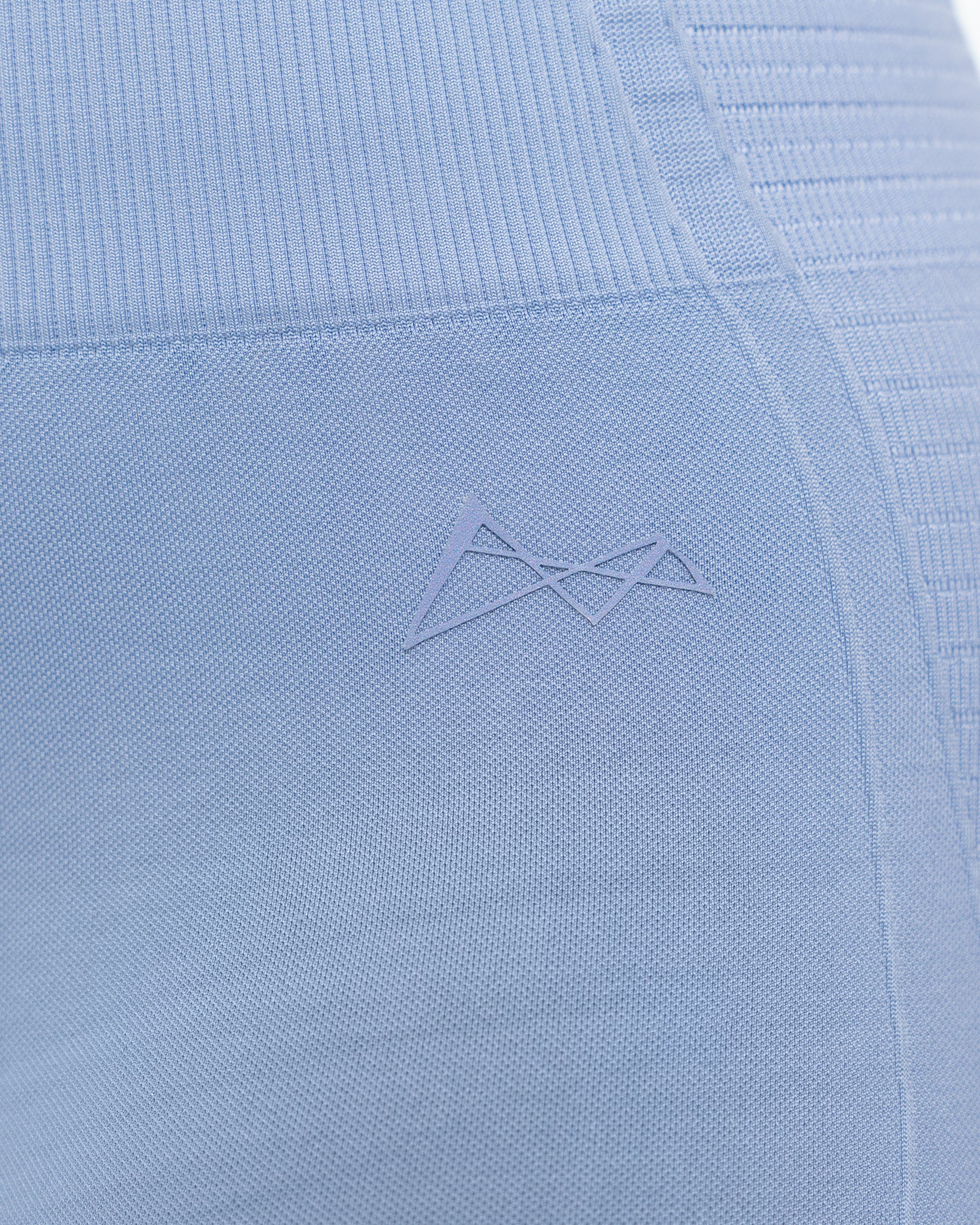 Velocity Seamless Shorts