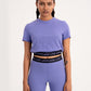 Lyra FlexBand Cropped Top