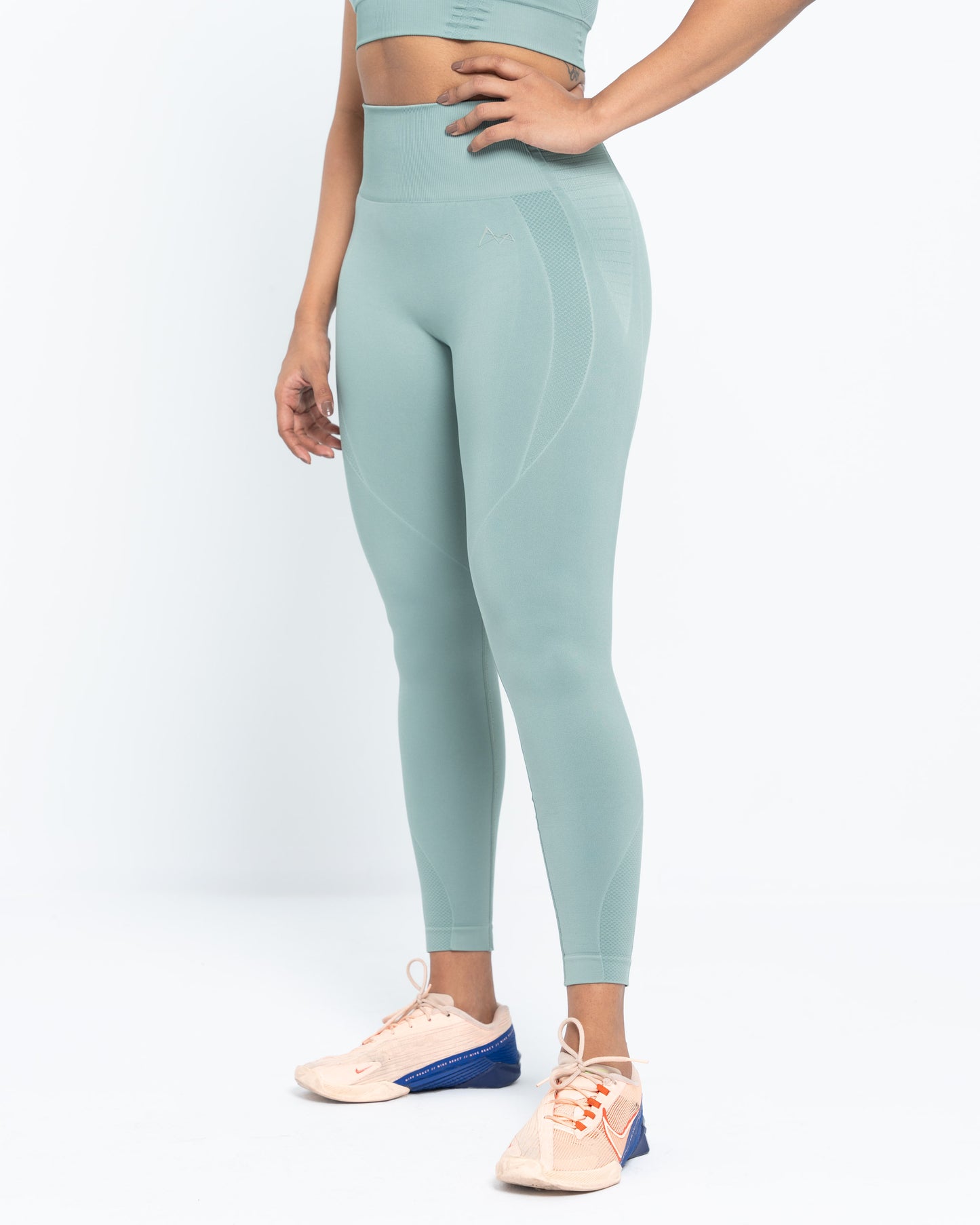 Velocity Seamless Leggings