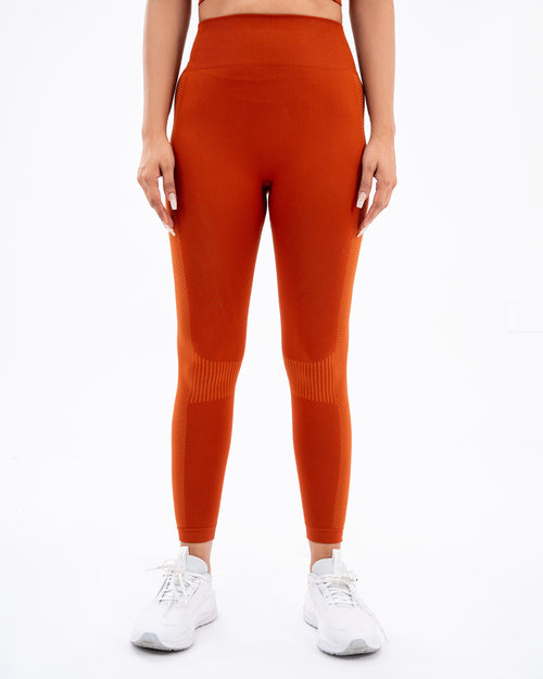 Omnia Seamless Leggings